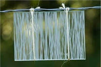 Zeefdruk decoratief glas